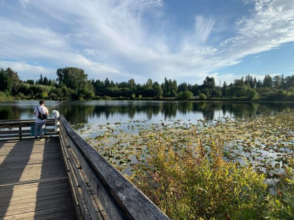 Image of man on dock in Lake Hills Greenbelt park in Bellevue, Washington.